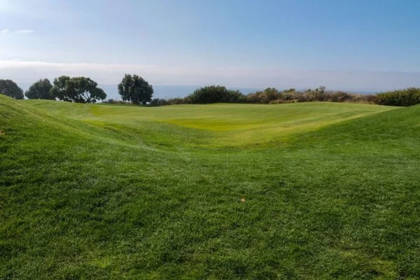 殷若宁出战LPGA马来西亚站年终奖金榜竞争格局全深度解析